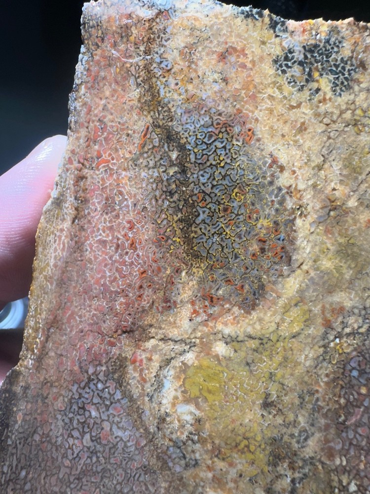 Dinosaur bone rough **hxtled slab.