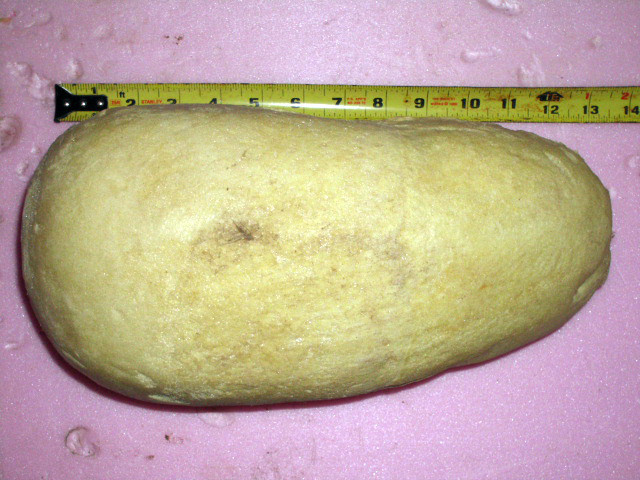 ONE MEDIUM SIZED GOOSE FOAM FORM