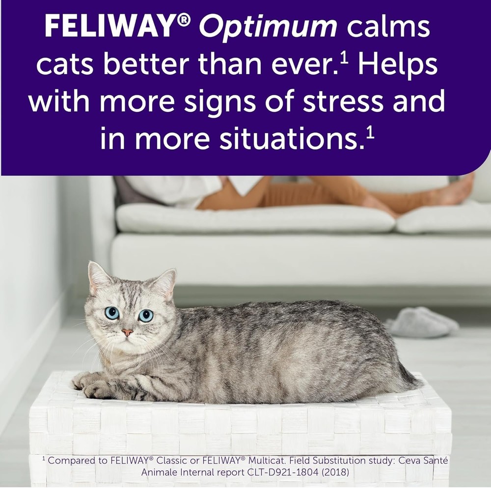 Pheromone Diffuser Refill 48ml - Effective Stress Relief for Kittens & Cats