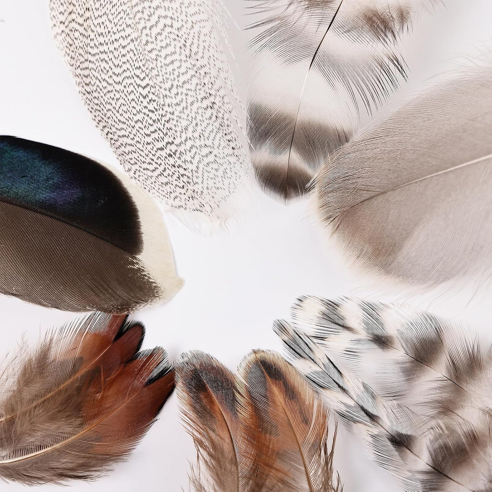 210Pcs 7 Styles Natural Bulk Feathers Assorted Mixed Feathers for DIY Cr