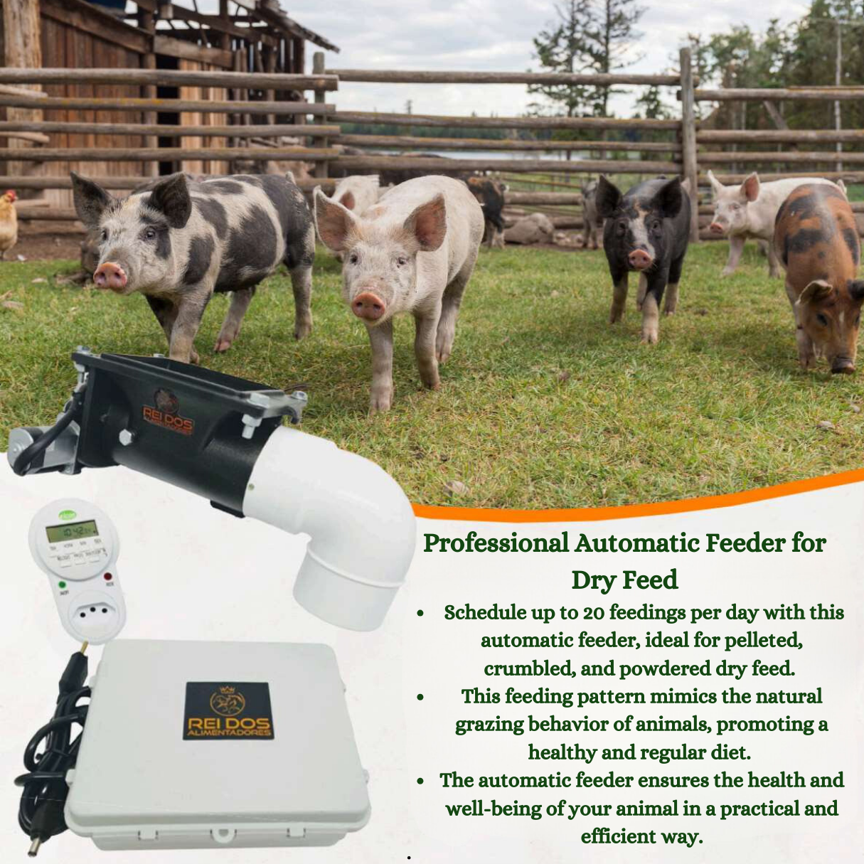 Automatic Pig Feeder, Food Dispenser with, Timer Healthier Pigs, Pigs Care