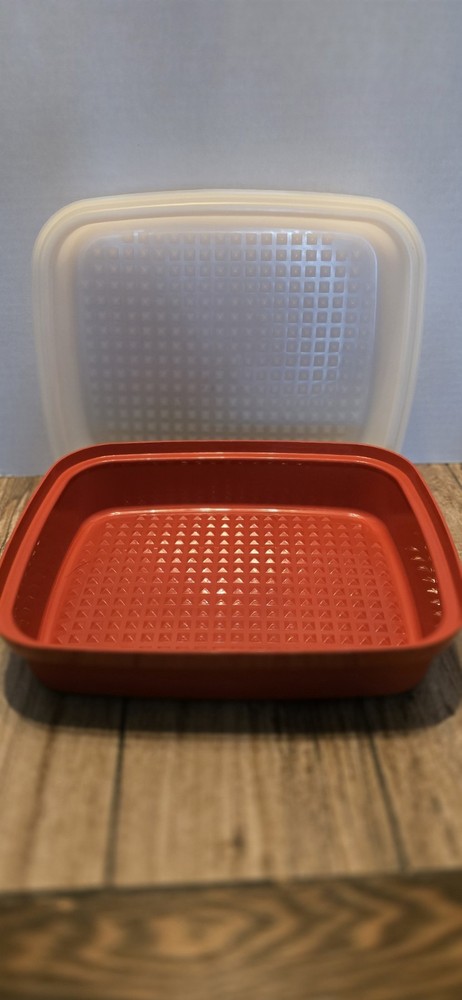 Vintage Tupperware Container Waffle Bottom
