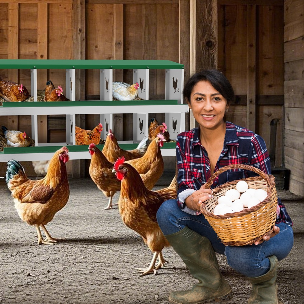 10 Holes Chicken Nesting Box, Metal Chicken Nesting Boxes, without Bracket Legs