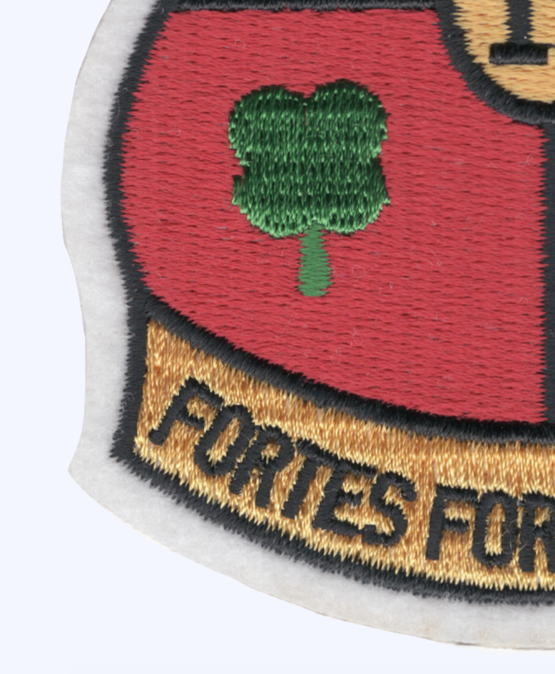 USS Salisbury Sound AV-13 Patch