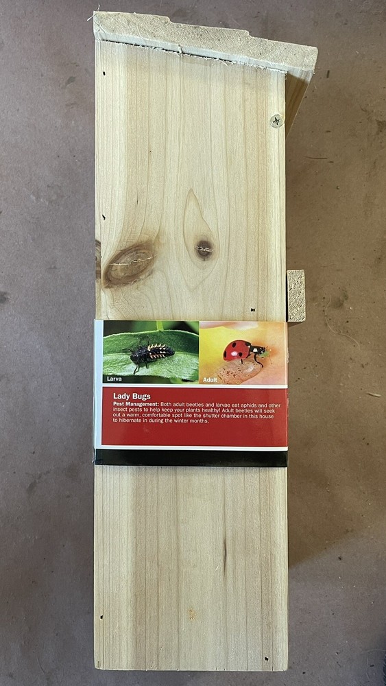 Bee Insect Pollinator Tower House