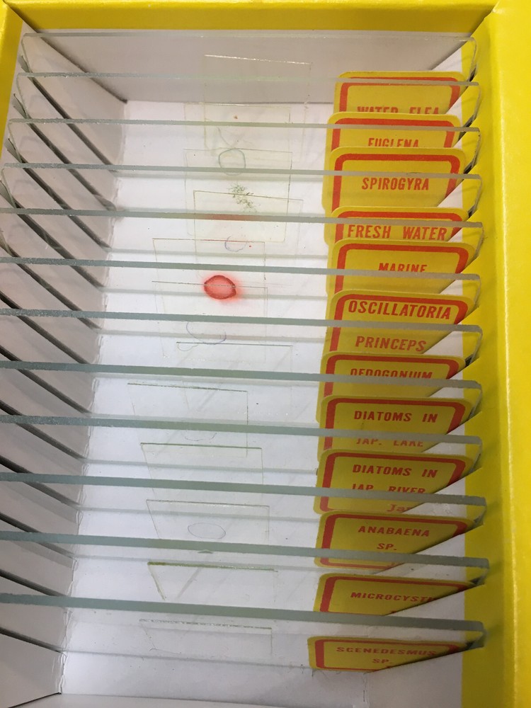 ATCO Microscope Model 1377 W/Original Box & 24 Pre-made Slides! READ BELOW!