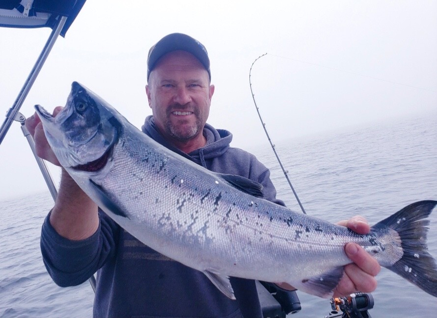 Salmon Dodgers (4): "SALMON DADDY" Assortment