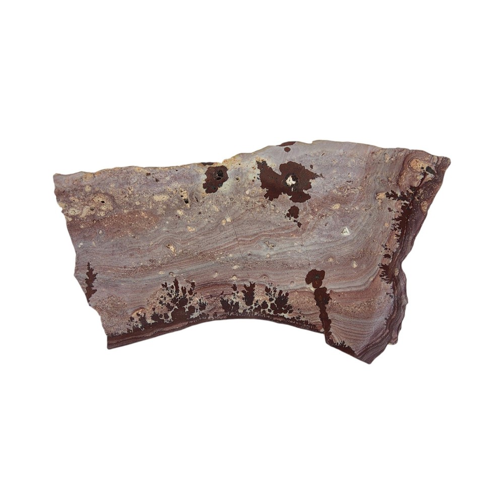 Apache Dendritic Rhyolite, Apache Sage, cabbing rough, #R-7031