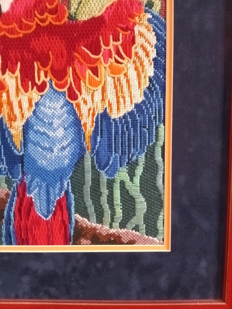 Vintage Framed Needle Work Parrot