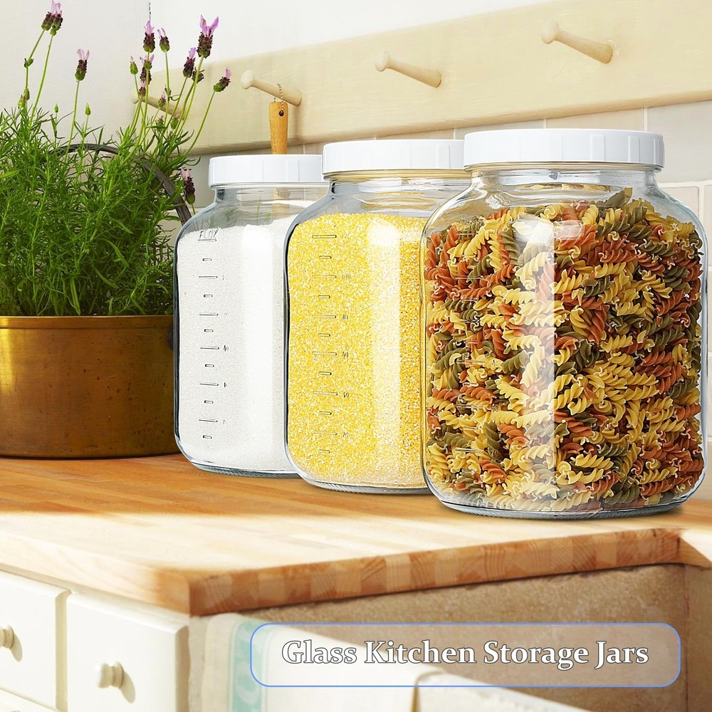 Folinstall 2-Pack 1 Gallon Fermentation Jars w/ Screw Lids & 3 Airlocks