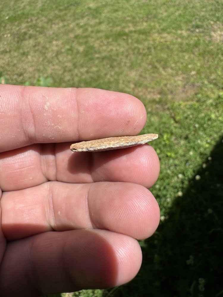 Nice Trilobite Fossil
