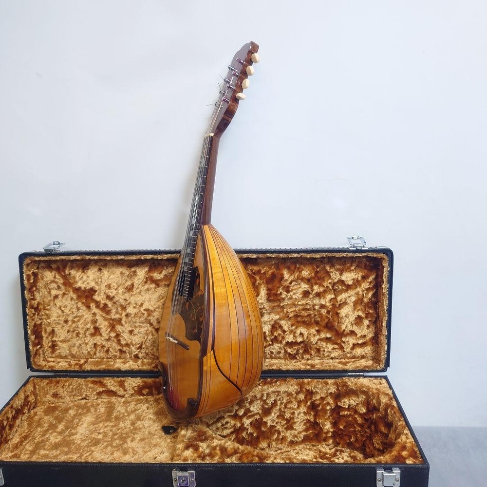 1975 Iwasaki Mandolin with hard case Ohno