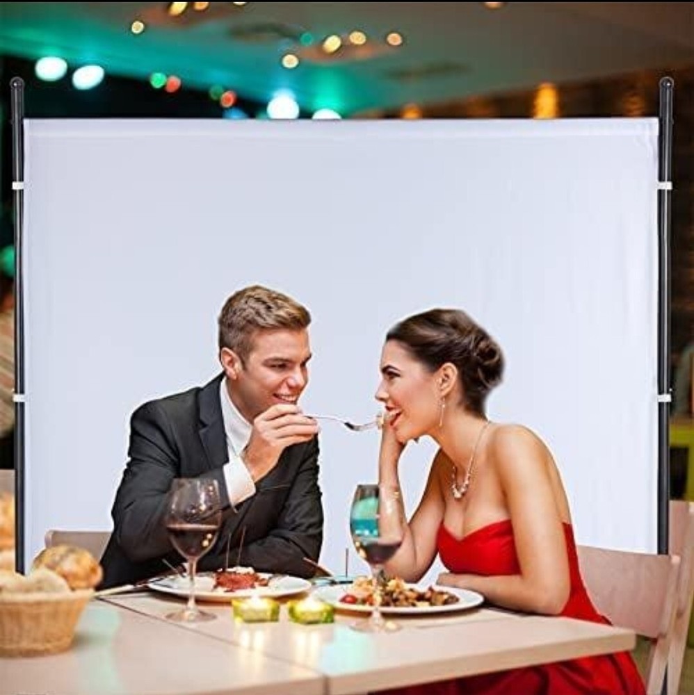 6ft Long One Panel White W/Wheels Room Divider