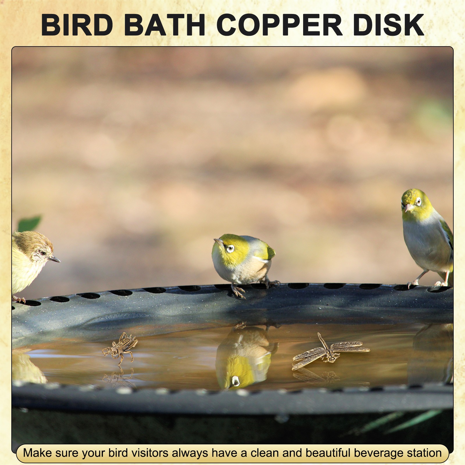 1-Set Bird Bath Copper Disk [Butterfly, Cricket, Dragonfly]