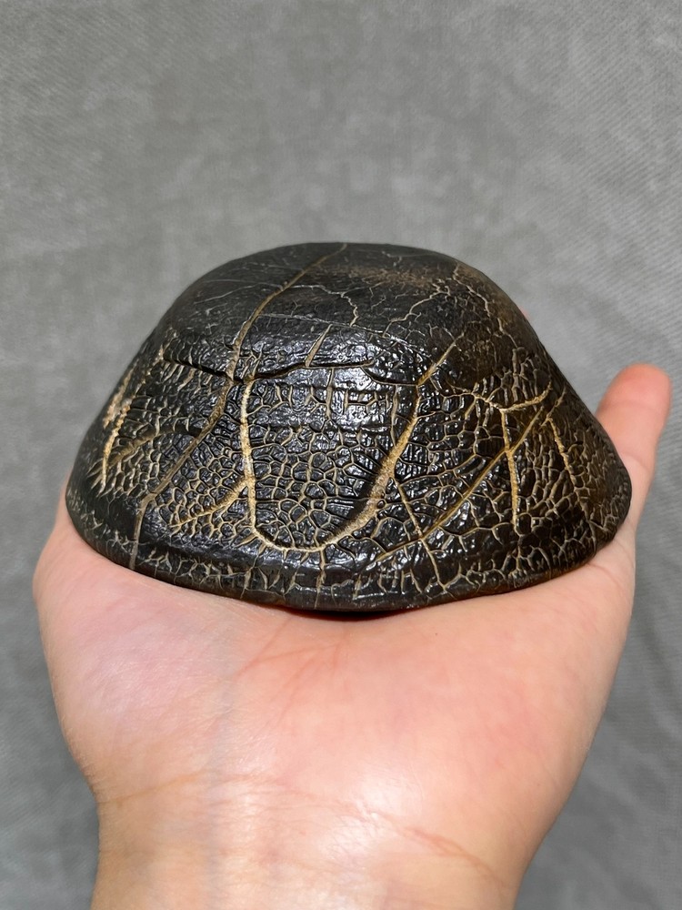 China Natural stone "tortoise back pattern" stone Moire stone 9.2x9x4.3