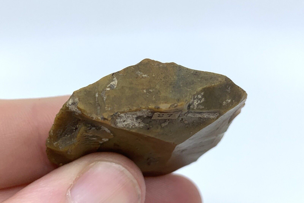 Authentic Scraper Flake Circular Stone Tool Neolithic European Origin