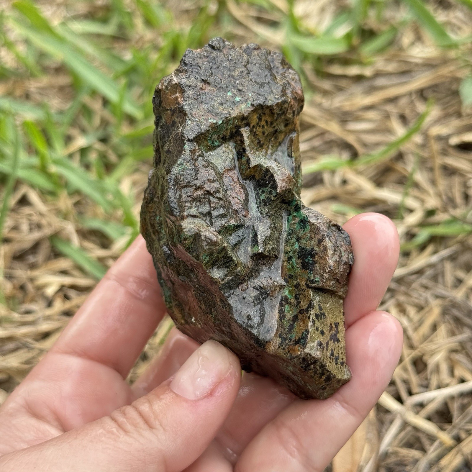 9oz Chalcopyrite w/ Green Chrysocolla Copper Ore Rough Rock Specimen Texas