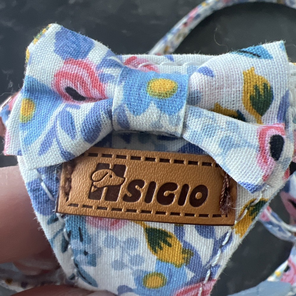 Tiny dog harness and leash set