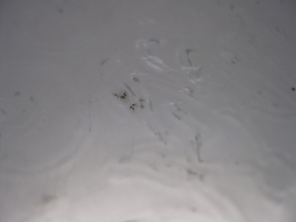 Oneida Silver Plate Serving Tray 20 5/8" length 14 1/2" Diameter