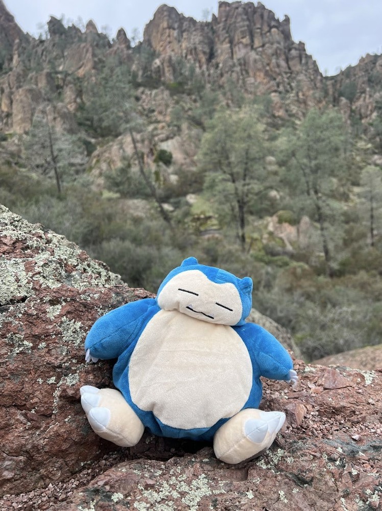 Snorlax Chalk Bag Rock Climb