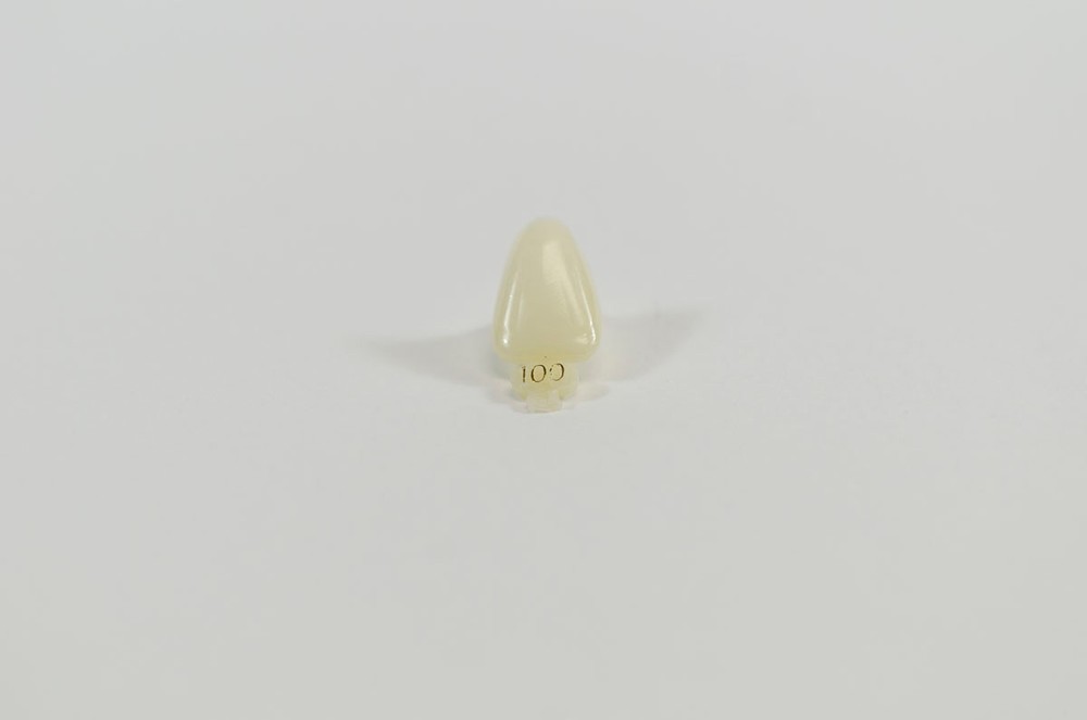DENTAL POLYCARBONATE TEMPORARY CROWNS #100 (URC) UPPER RIGHT CENTRAL 5/PACK