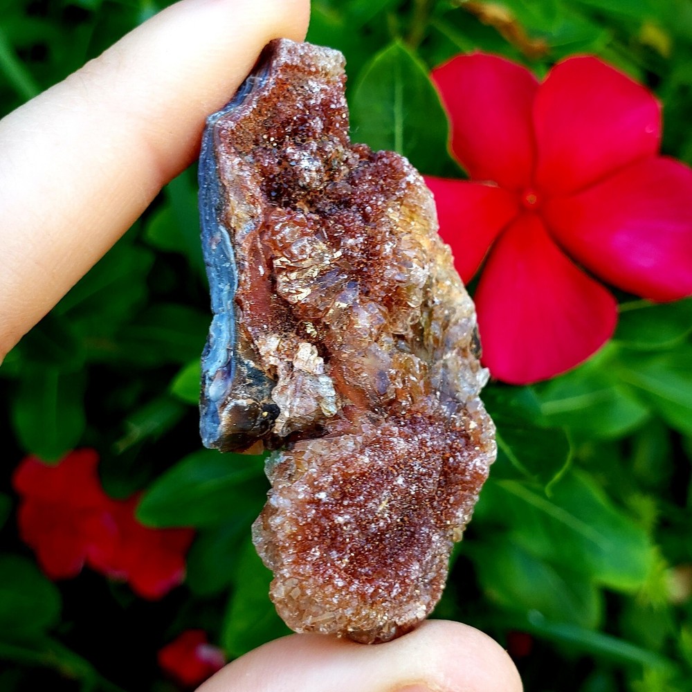 Fossilized Agate shell Cluster druzy natural crystal healing gemstone - #11