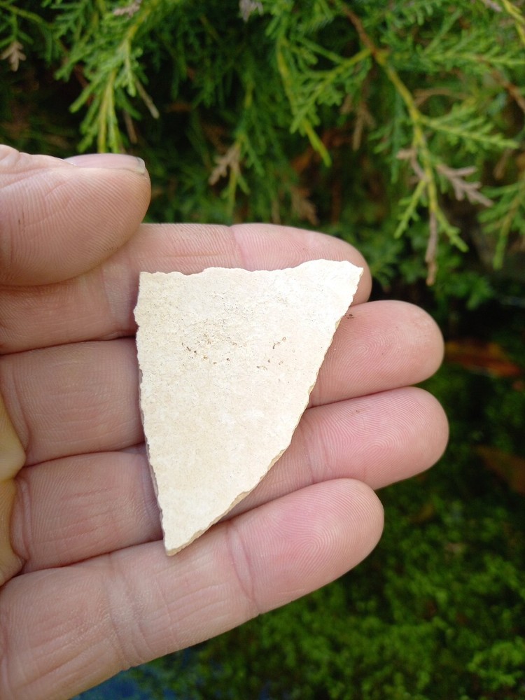 Fossil Elephant Bird Eggshell~Aepyornis~Madagascar Display Case