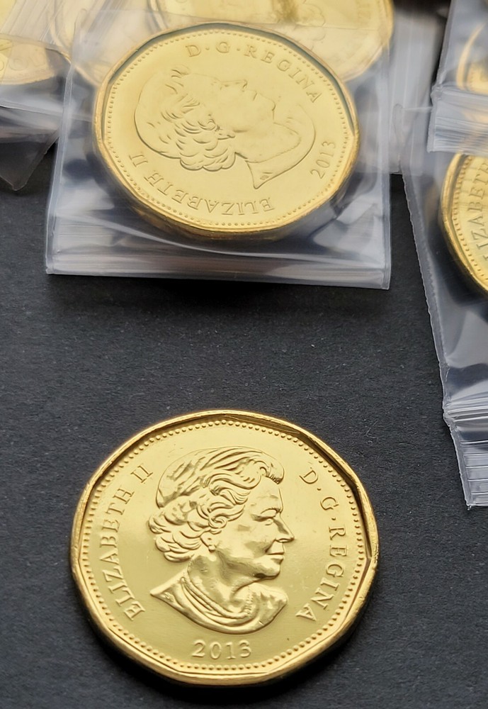 *** CANADA LOONIE 2013 *** FROM MINT ROLL ***