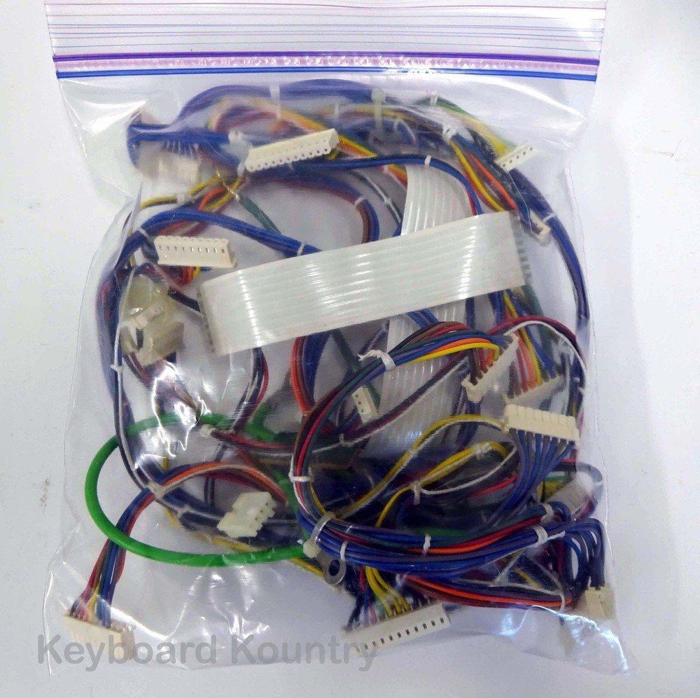 Roland S-50 Complete Wire/Cable Harness