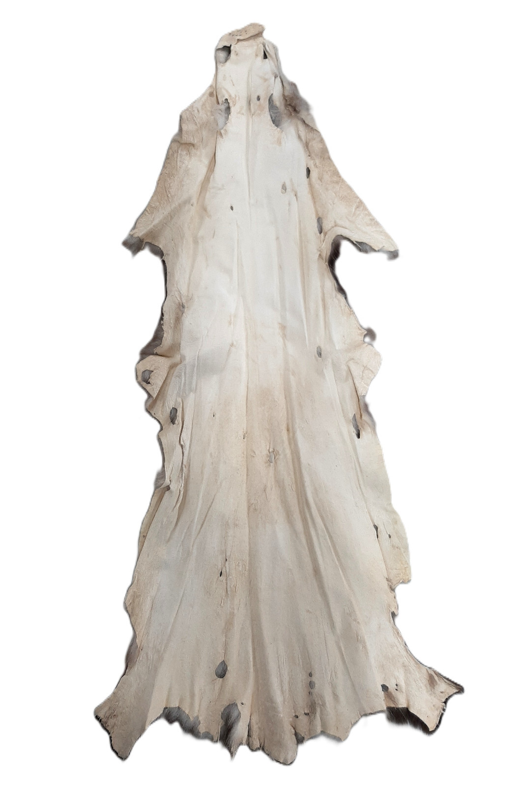 Opossum, Open Tanned-VERY Well Furred