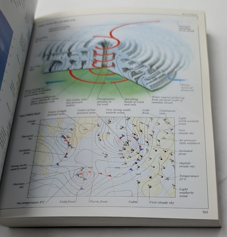 Pocket Visual Dictionary DK 2003 Art Encyclopedias Reference Illustrated Guide