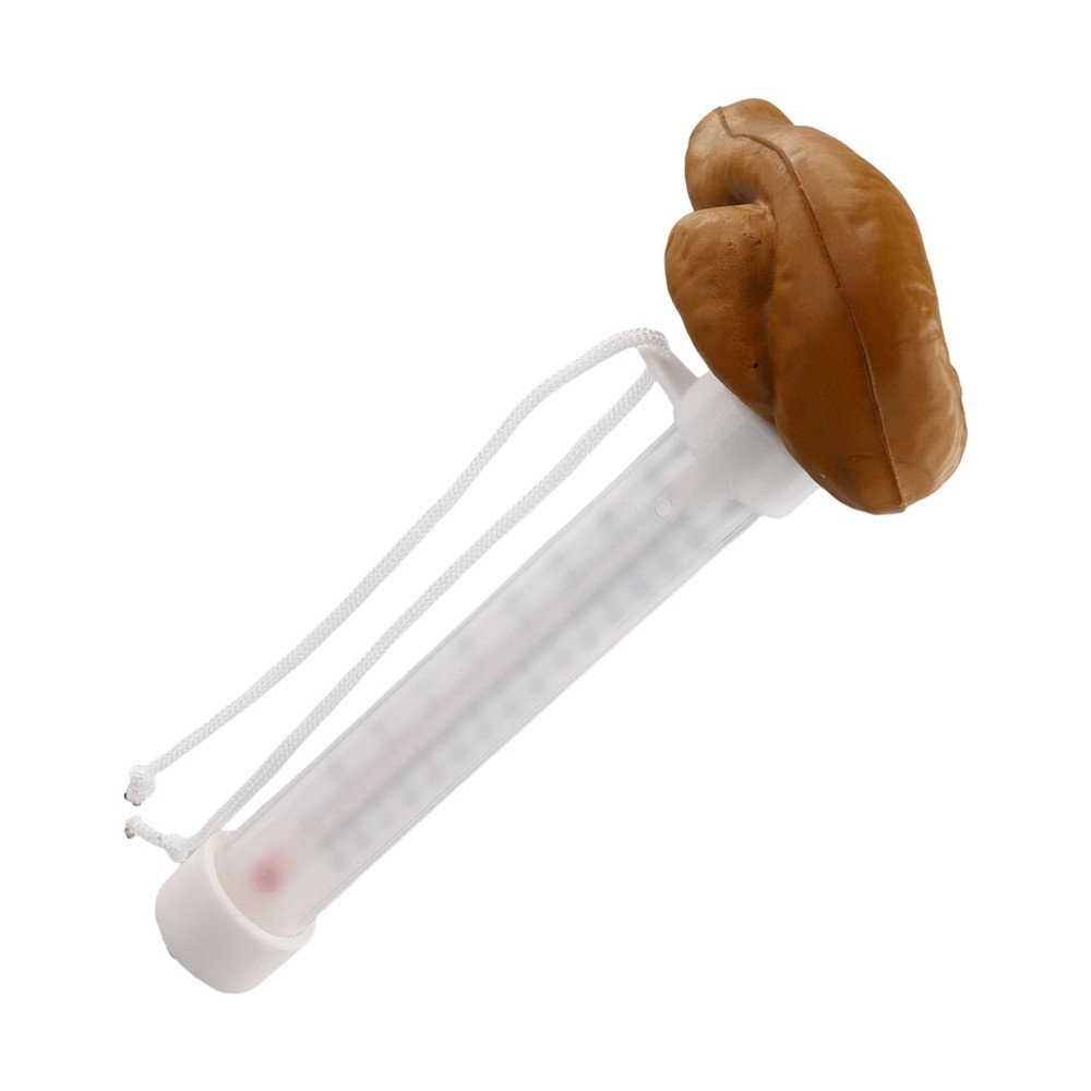 Pool Water Temperature Thermometer Floating Poop Design Easy Read Display