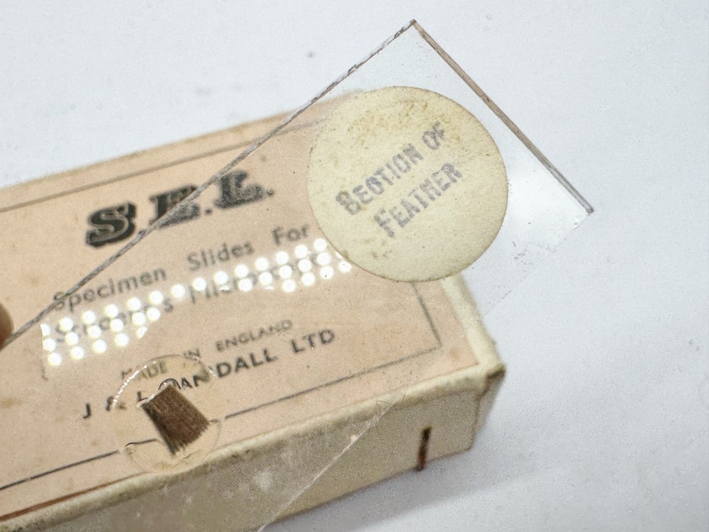 VINTAGE S.E.L. SPECIMEN SLIDES FOR STUDENT MICROSCOPE MADE IN ENGLAND