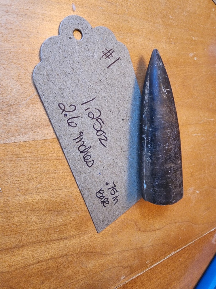 Belemnite Fossil Specimens, Wyoming