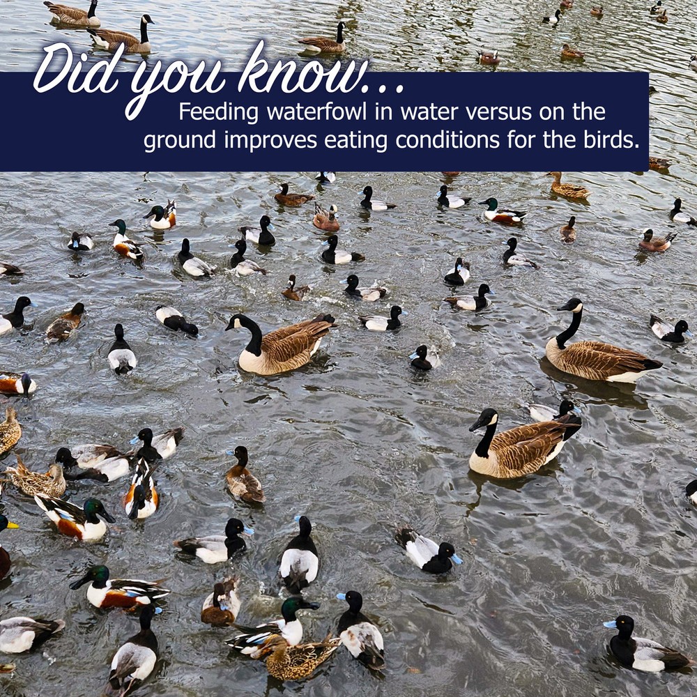 Waterfowl Floating Pellets 20 lb