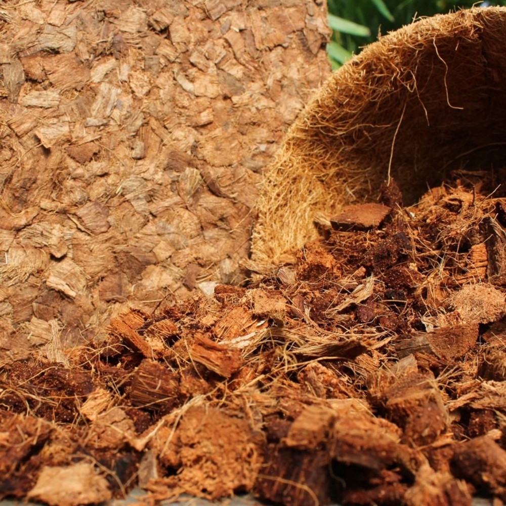10LB CocoCoir Chunk - 100% Organic Compressed Blocks