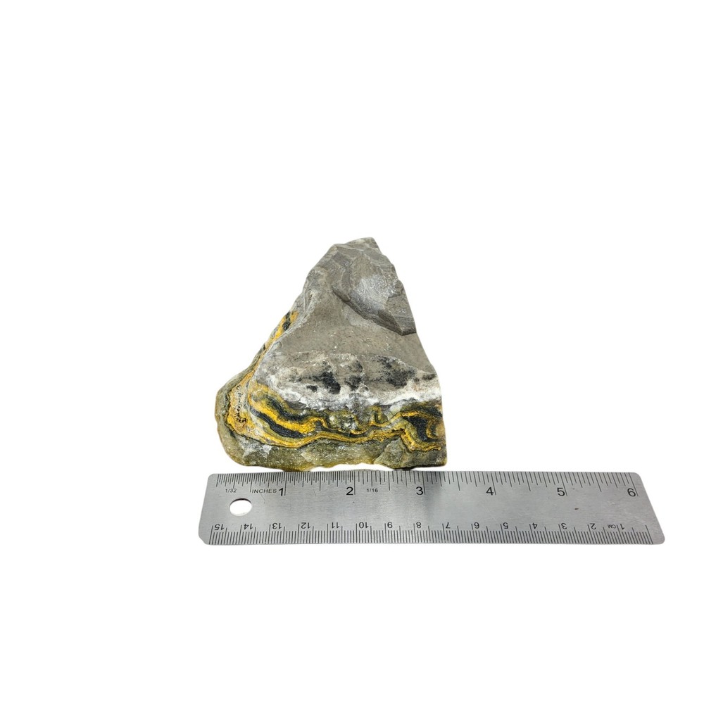 Bumblebee Jasper, 1.25 lbs, cabbing rough, #R-6999