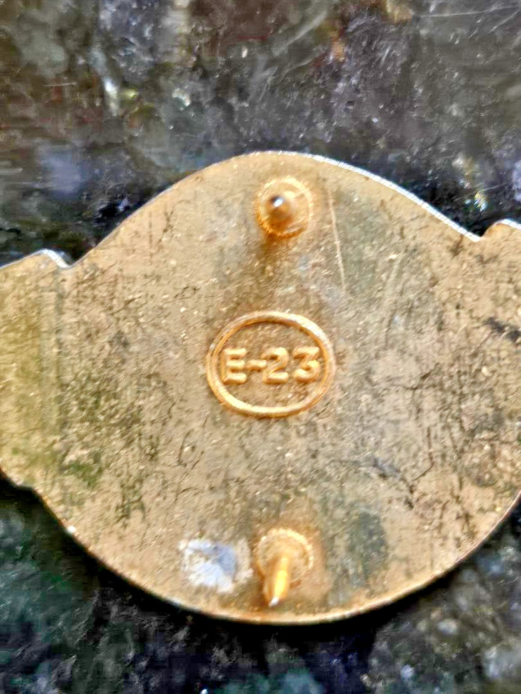 US Army 533rd Support Unit DUI