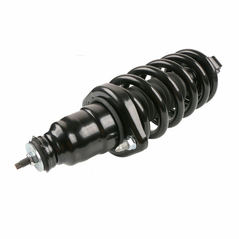 Pair Rear Complete Struts Shocks for 2003-2011 Honda Element 2.4L