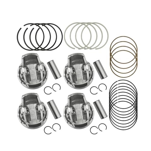 STD Engine Piston & Piston Snap Rings & Piston Pin Set Fits for Chevy Sonic