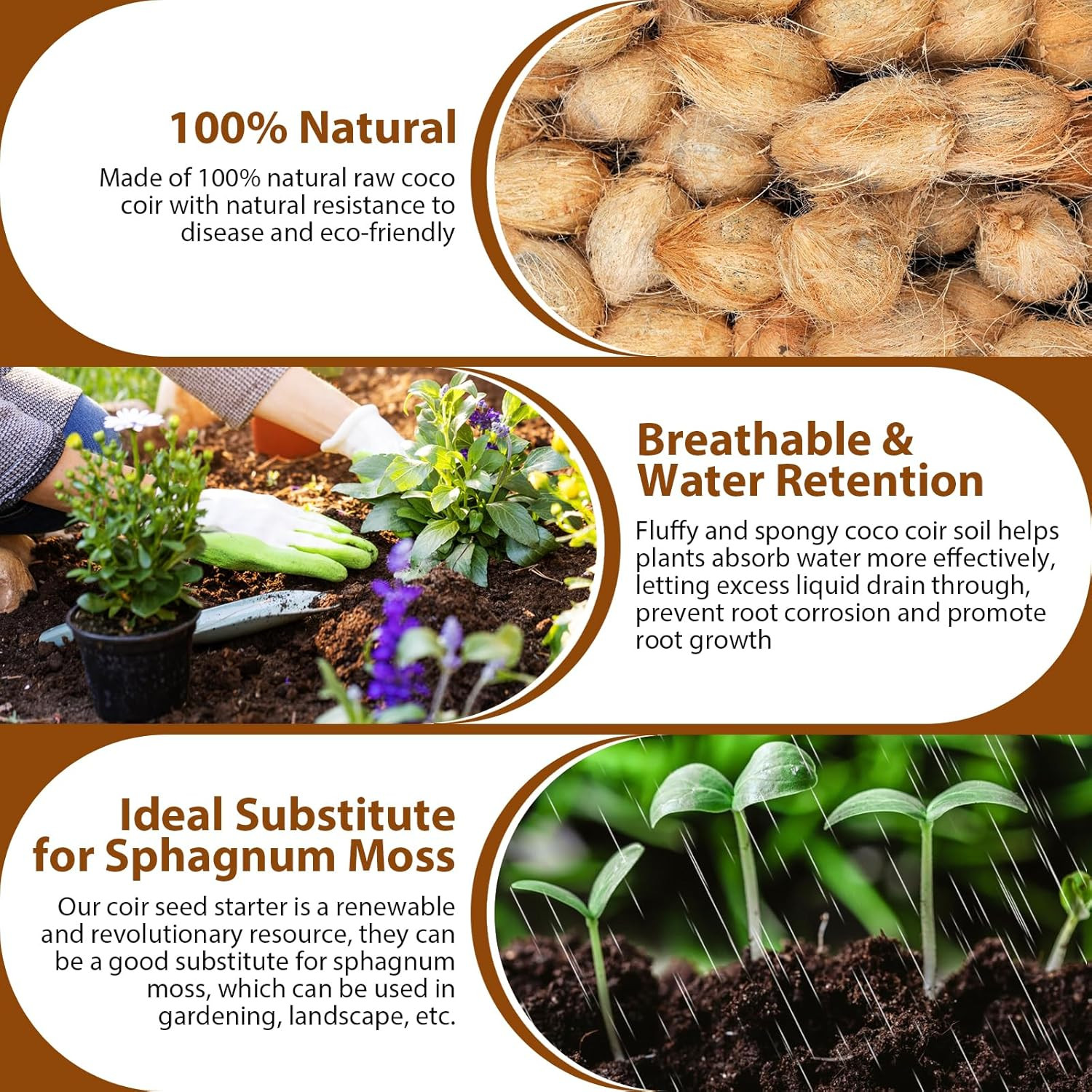 Legigo Pack of 10 Organic Coco Coir Bricks- 100% Natural Compressed Coco Peat Br