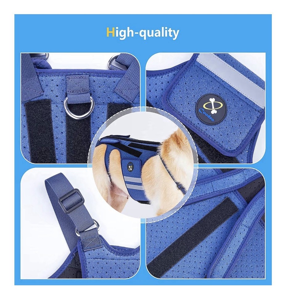 Coodeo Dog Back Brace Support Harness Reflective Breathable - Medium