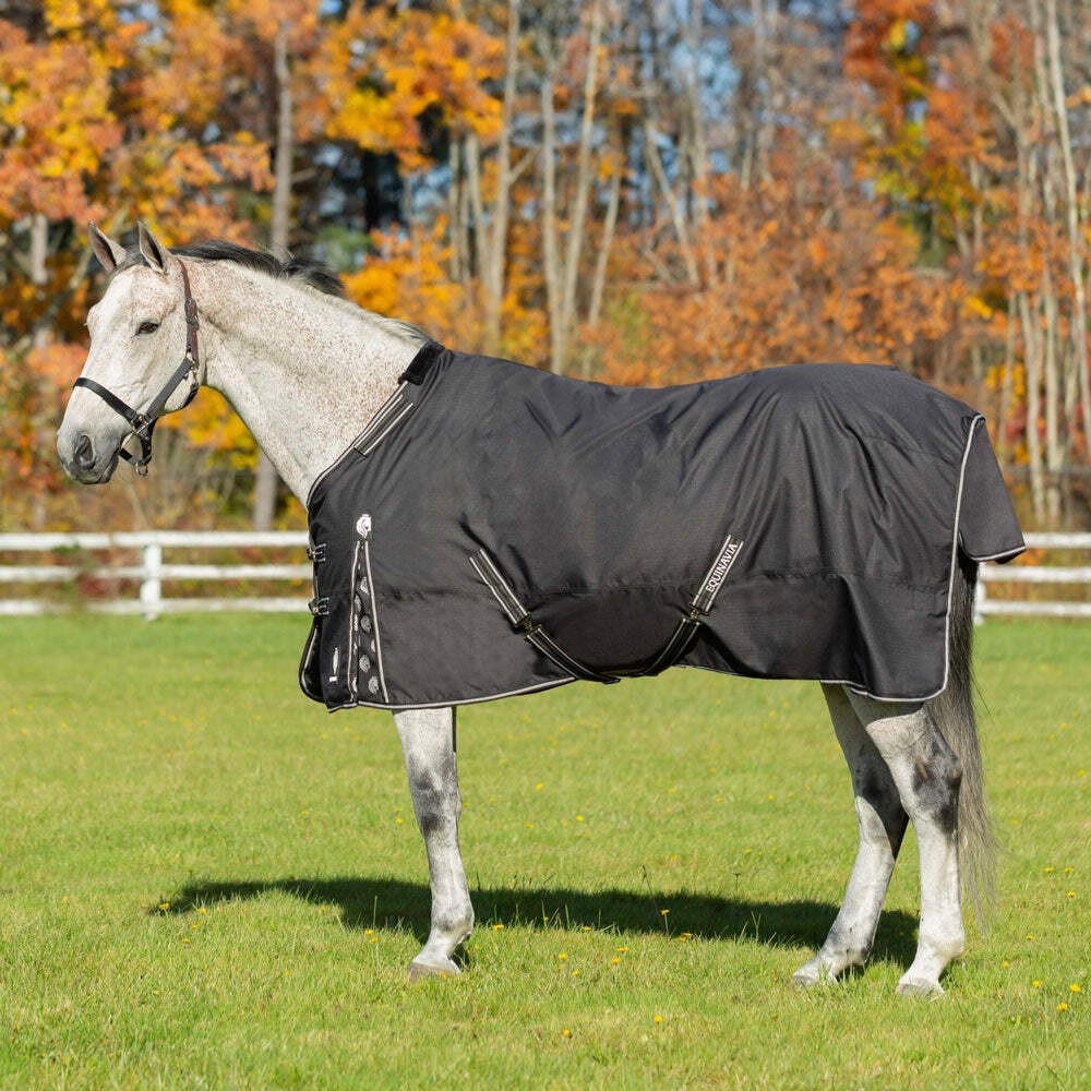 E24002-BL Equinavia Norse Turnout Sheet - Black NEW