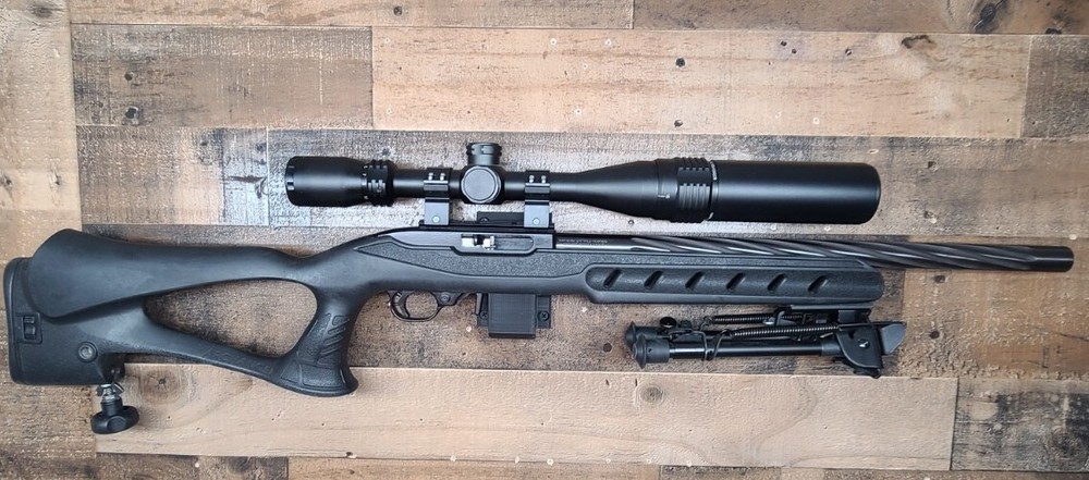 Ruger 10 22, Charger, Precision Wall Mount Display