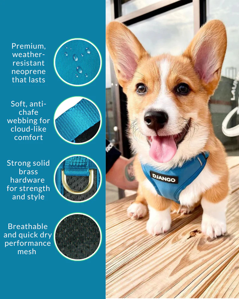 NWT Django Adventure Dog Harness - Pacific Blue