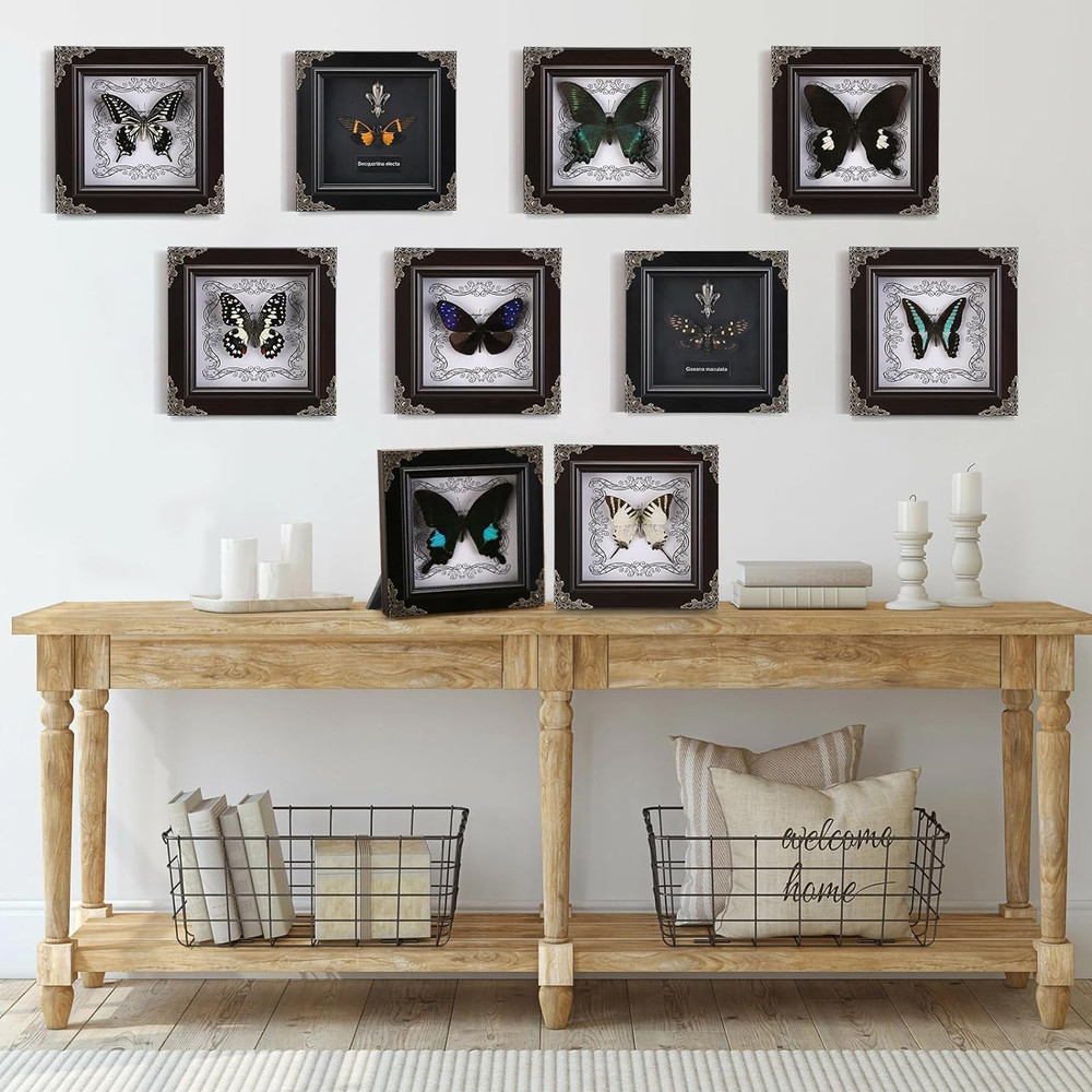 Real Butterfly Framed Handmade, Butterfly Display Shadow Box Collection, Framed