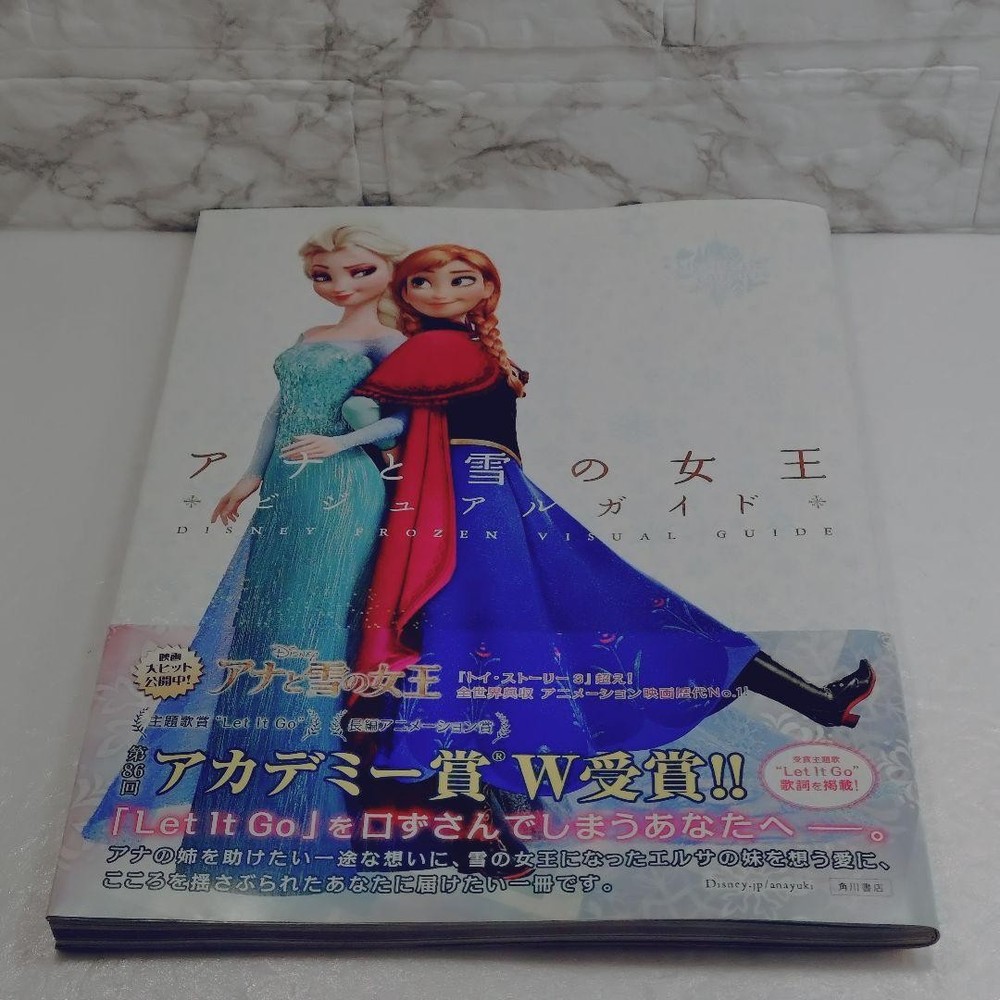 [Good Condition] Disney Frozen Visual Guide