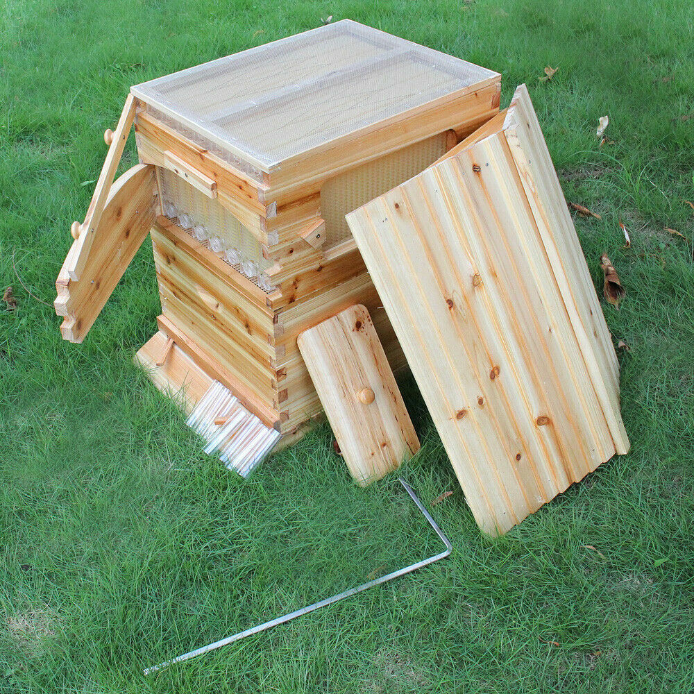 Beehive 7 Frames Complete Box Kit Bee Hives Auto Bee Frames + Beekeeping House