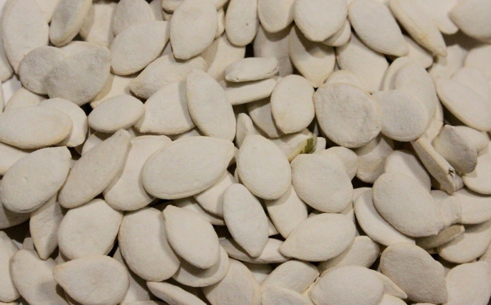 Delicious Roasted Salted Snow White Pumpkin Seeds 0.25-2 LBS FREE SHIPPING