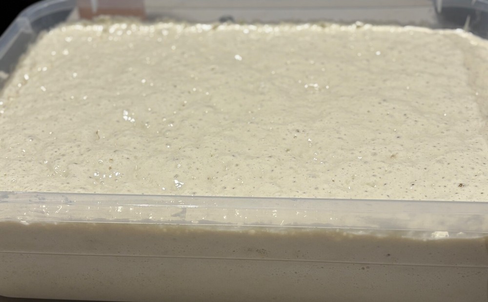 Aged proven dehydrated sourdough starter Dixie Bell